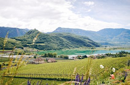 Frühling in Südtirol