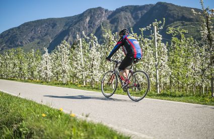 Tolle Bike-Touren in Schenna