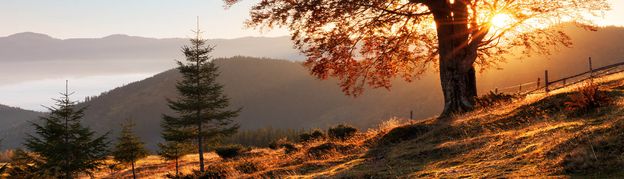 Törggelen und Wandern - Der Herbst in Südtirol