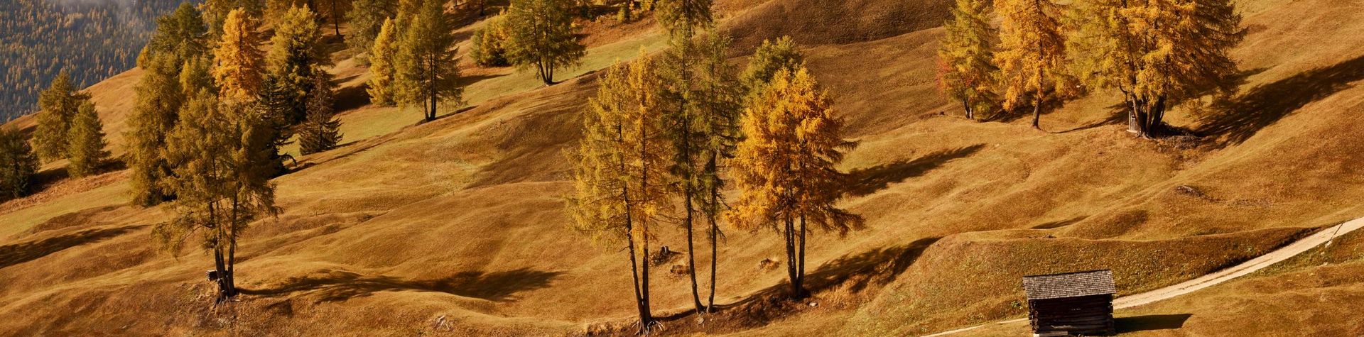 Herbst in Südtirol Herbst Südtirol