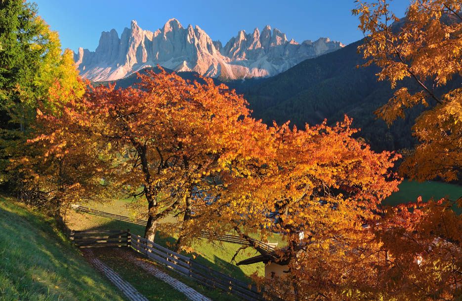 Törggelen und Wandern in Orte Südtirol | Törggele Die beliebtesten