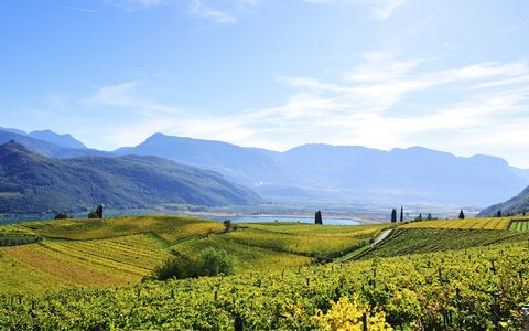 Die besten Unterkünfte im Süden Südtirols - Kalterer See, Südtirol Die besten Unterkünfte im Süden Südtirols - Kalterer See, Südtirol