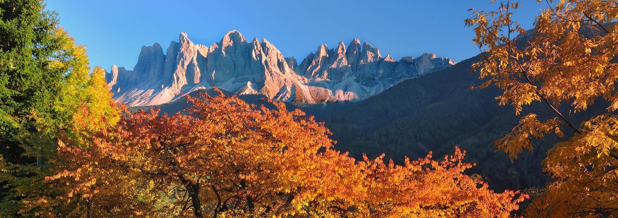 Herbst in Südtirol
