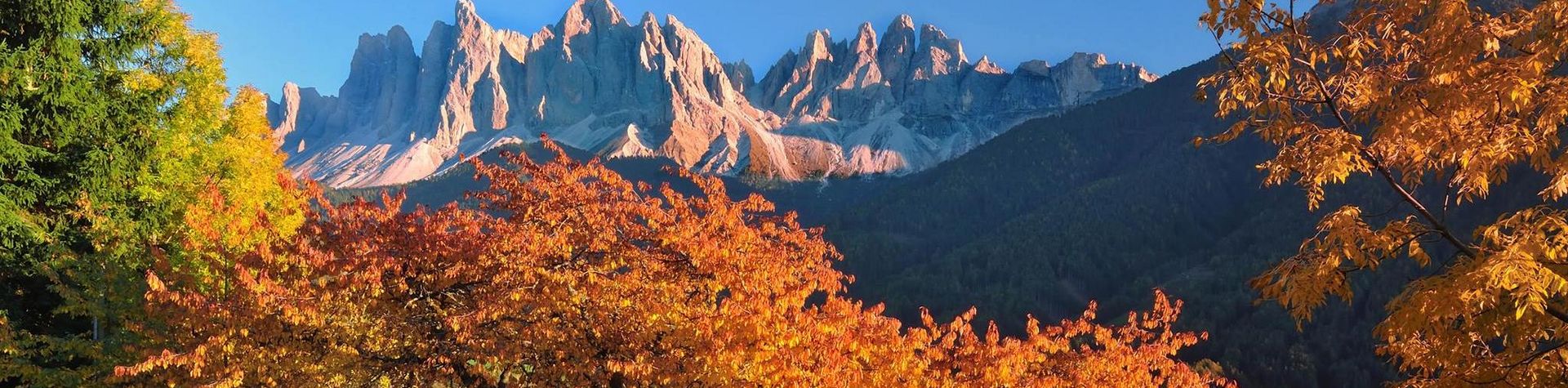 Herbst in Südtirol