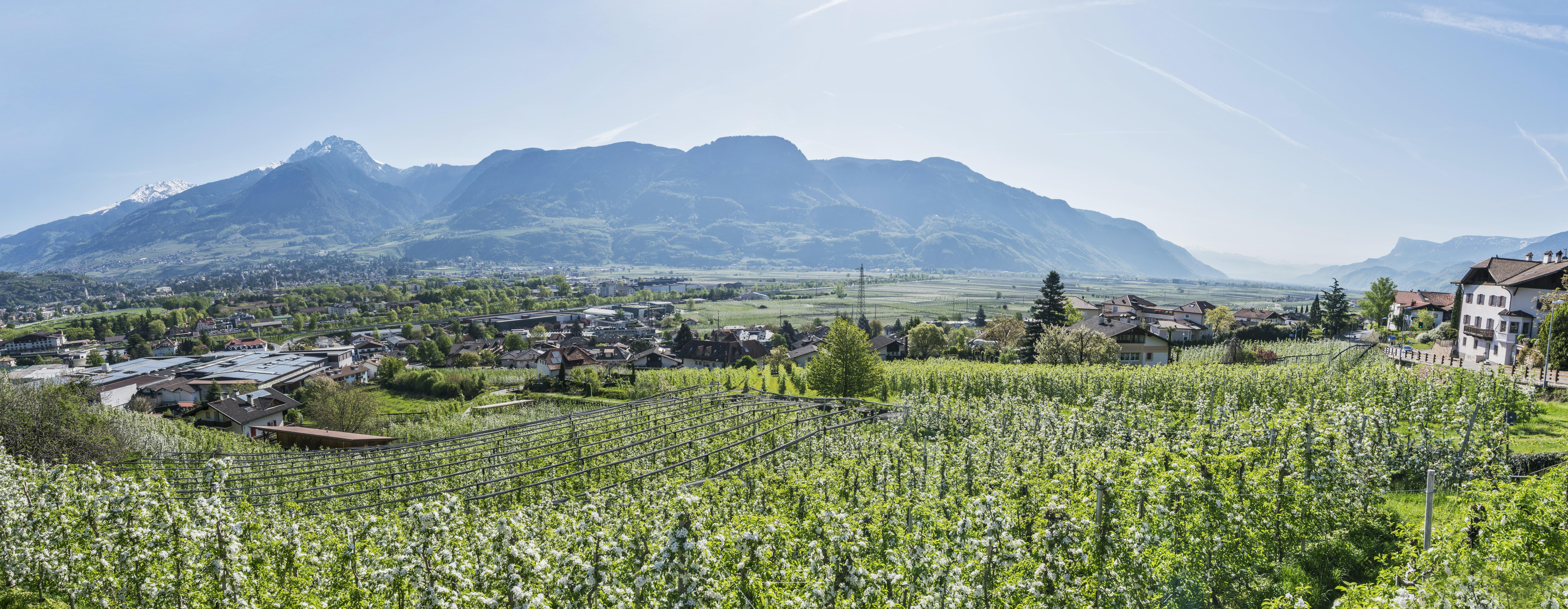 Die besten Panoramahotels in Südtirol