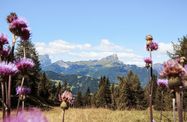 Gourmet und Boutique Hotel Tanzer