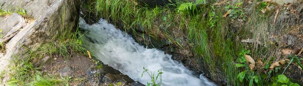 Waalwege in Schenna und Umgebung