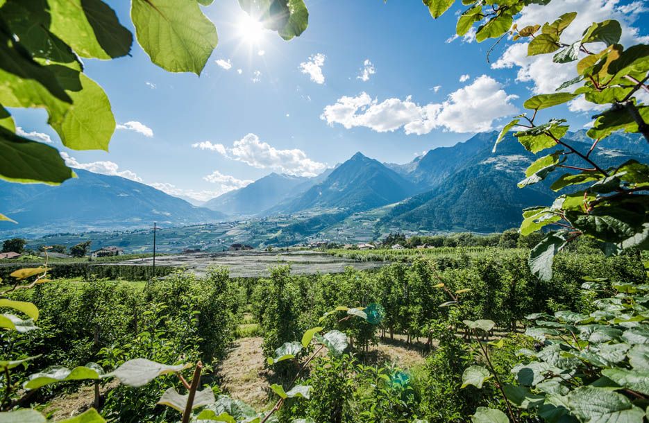 Apartments Artus 3 Sonnen - Schenna, Südtirol Apartments Artus