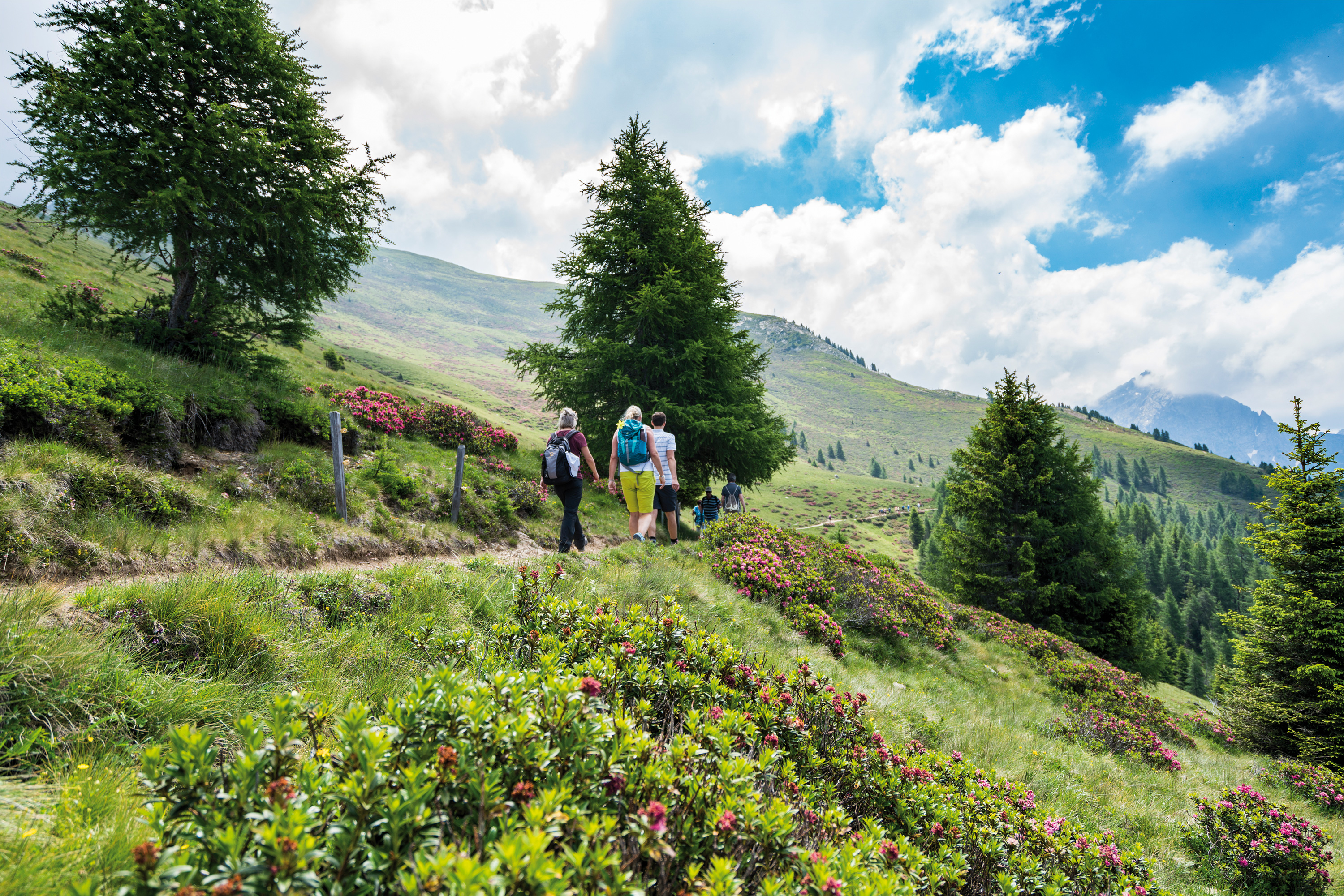 Urlaub in Schenna Südtirol