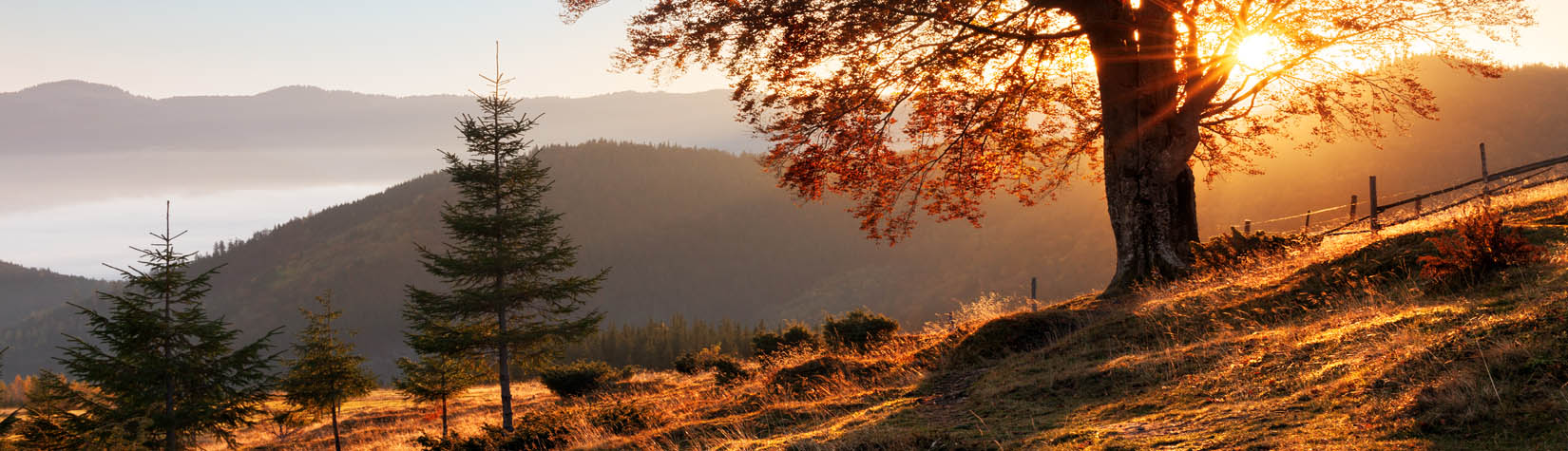 Törggelen und Wandern im Herbst in Südtirol